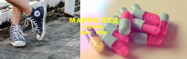 стафф Дмитров