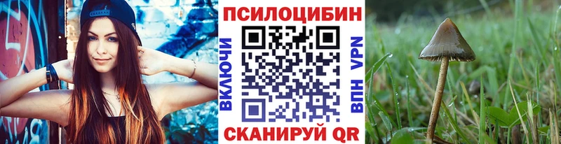 где купить   мориарти какой сайт  Галлюциногенные грибы Magic Shrooms  Нефтекамск 